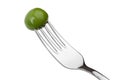 Pickled olive impaled on a fork on a white background. Royalty Free Stock Photo