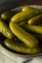 Pickled Organic Cornichon Gherkin Pickles