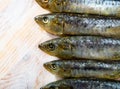 Pickled pilchards on wooden background with copyspace Royalty Free Stock Photo