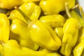 Pickled Raw Pepperoncini Peppers Royalty Free Stock Photo