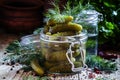 Pickled small cucumbers gherkins in a glass jar with dill, herbs Royalty Free Stock Photo