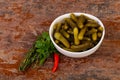 Pickled small cucumbers Royalty Free Stock Photo