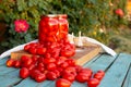 Pickled tomatoes with garlic, onions and spices in glass jars.