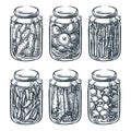 Pickled vegetables, mushrooms in glass jar, vector sketch illustration. Home made preserves hand drawn design elements