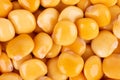 Pickled yellow lupine beans background. Tournus, preserved lupinus.