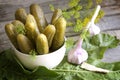 Pickles gherkins salted cucumbers still life Royalty Free Stock Photo