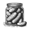 Pickles in Jar Engraved Illustration raster