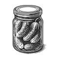 Pickles in Jar Engraved Illustration raster