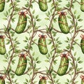 Pickles Pattern on Branches with Leaves Royalty Free Stock Photo