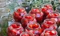 Pickling canning tomatoes and cucumbers Royalty Free Stock Photo