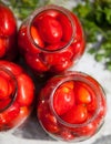 Pickling canning the tomatoes Royalty Free Stock Photo