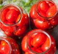 Pickling canning the tomatoes Royalty Free Stock Photo