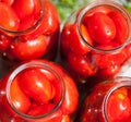 Pickling canning the tomatoes Royalty Free Stock Photo