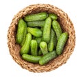 Pickling cucumber in a basket