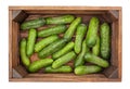 Pickling cucumber in a box