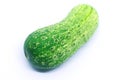 Pickling cucumber on white background