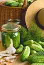 Pickling cucumbers Royalty Free Stock Photo