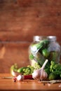 Pickling cucumbers in cans. Ingredients for marinated gherkins, glass jar, garlic, dill, salt, pepper on green Royalty Free Stock Photo