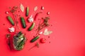 Pickling cucumbers in cans. Ingredients for marinated gherkins, glass jar, garlic, dill, salt, pepper on red background Royalty Free Stock Photo