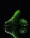 Pickling Cucumbers Isolated on Black Royalty Free Stock Photo