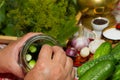 Pickling cucumbers, pickling - hands close-up, cucumber, herbs,