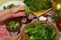 Pickling cucumbers, pickling - hands close-up, cucumber, herbs,