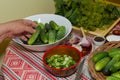 Pickling cucumbers, pickling - hands close-up, cucumber, herbs,