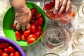 Pickling process for winter pickled tomatoes in jars,caning tomato Royalty Free Stock Photo