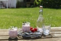 Picknick mit Erdbeerjoghurt und Limonade