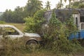 Pickup and broken abandoned dirty white Indian bus overgrown with green ivy and moss on the