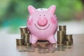 Picky bank and coin, for invest money, Ideas for saving money for future use. Royalty Free Stock Photo