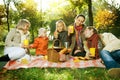 Picnic Royalty Free Stock Photo