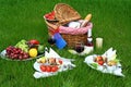 Picnic Royalty Free Stock Photo