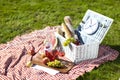 Picnic! Royalty Free Stock Photo