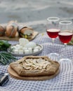 Picnic with Apple pie, cheese and red wine in glasses. Royalty Free Stock Photo