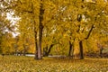 Picnic area along the Thornapple River Royalty Free Stock Photo