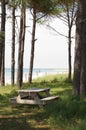 Picnic Area, Cape Lookout Royalty Free Stock Photo