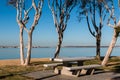 Picnic Area at Chula Vista Bayfront Park in San Diego Royalty Free Stock Photo