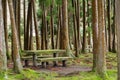 Picnic area in forest with table and benches Royalty Free Stock Photo