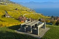 Picnic area in the lavaux vineyards, Lavaux, Vaud, Switzerland