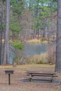 A picnic area at the Ratcliff Lake Recreation Area on Ratcliff Lake, Ratcliff, Texas Royalty Free Stock Photo