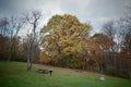 Picnic Area With Table and Benches in Autumn Royalty Free Stock Photo