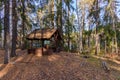 Picnic area, table and benches covered in the forest Royalty Free Stock Photo