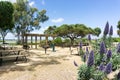 Picnic area with tables, grills and water