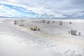 Picnic Area At The White Sand Of New Mexico