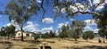 Picnic area at Wyangala state recreation park near Cowra in country New South Wales Australia