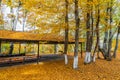 Picnic and camping area in yellow autumn forest Royalty Free Stock Photo