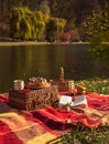 Picnic in the autumn park. Pie with poppy seeds on a wicker basket, a cup of tea, an open book on a colorful autumn background. Royalty Free Stock Photo