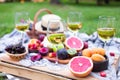 Picnic background with white wine and summer fruits on green grass, summertime party Royalty Free Stock Photo