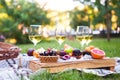 Picnic background with white wine and summer fruits on green grass, summertime party Royalty Free Stock Photo